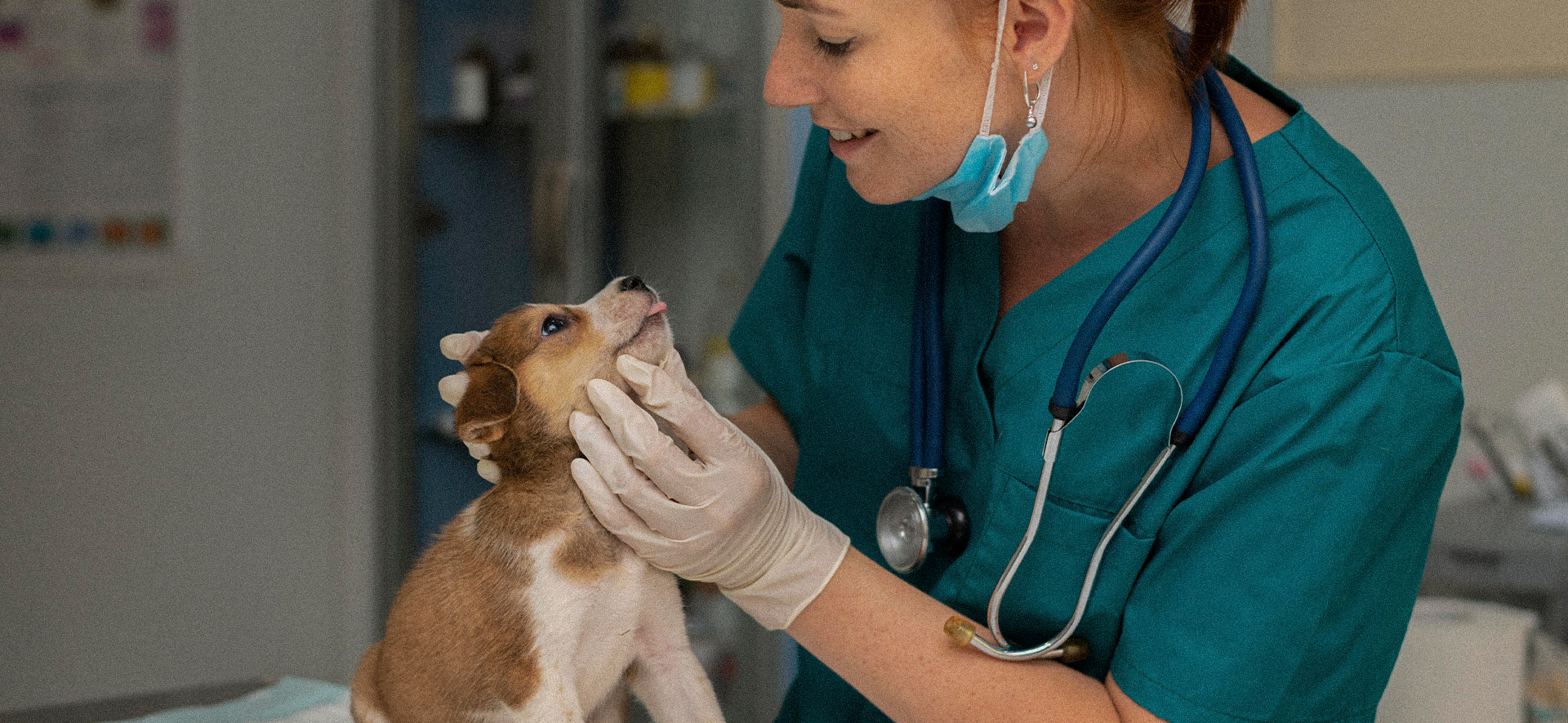 10 Red Flags de un veterinario