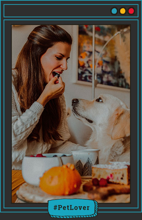 Tu perro no debe comer nueces