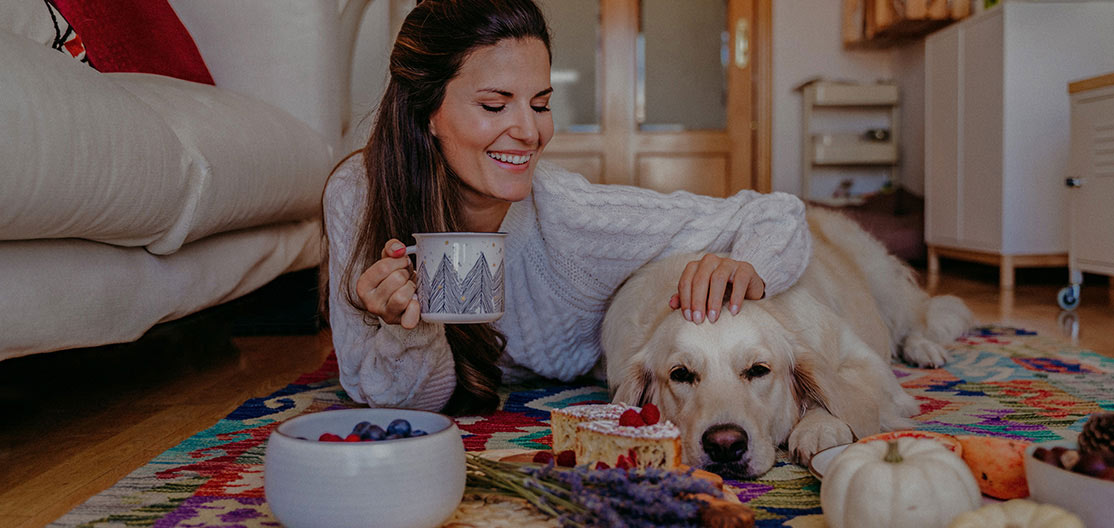 Tu perro no debe comer cebolla