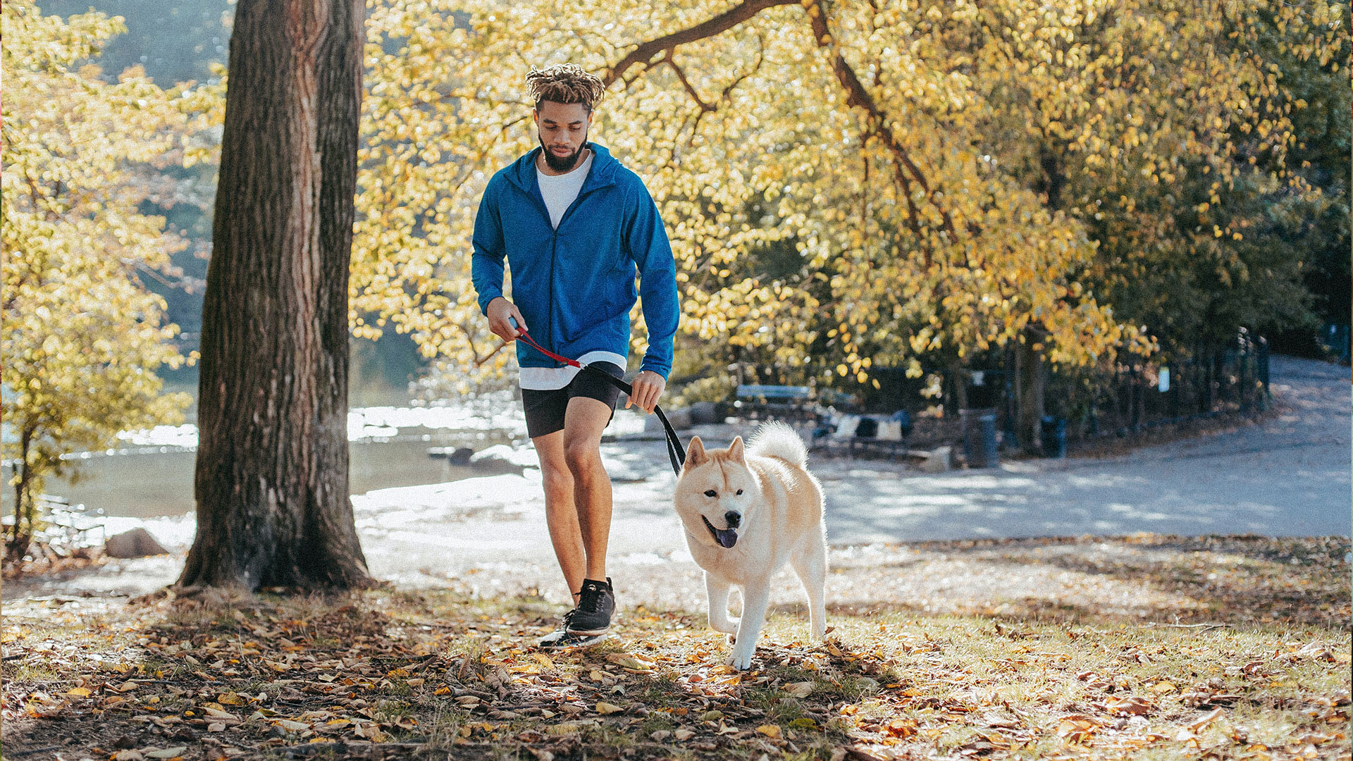 10 consejos para pasear a tu perro