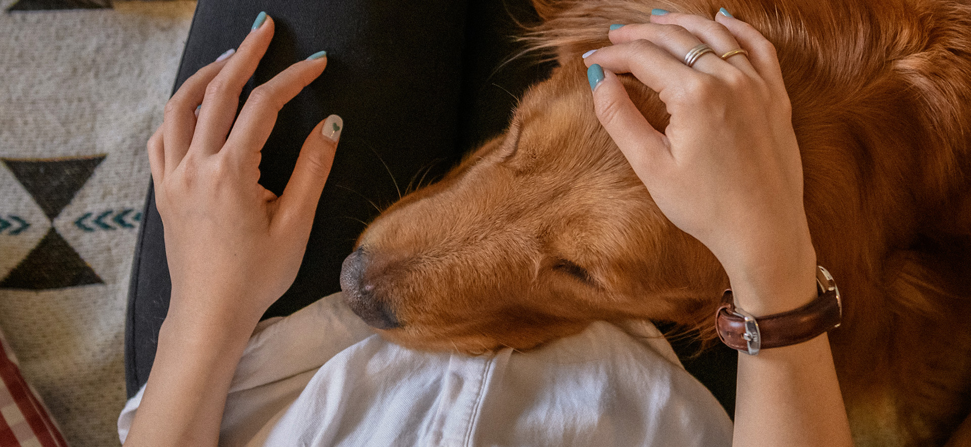 beneficios de tener un perro en casa