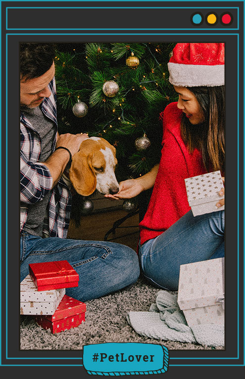 Los mejores planes para hacer en Navidad con tu perro
