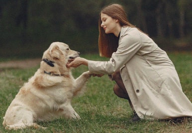 5 beneficos de los seguros caninos