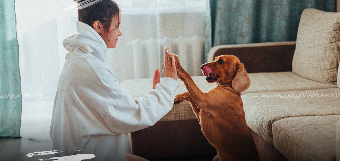 5 cosas que haces y dañan el vínculo con tu perro