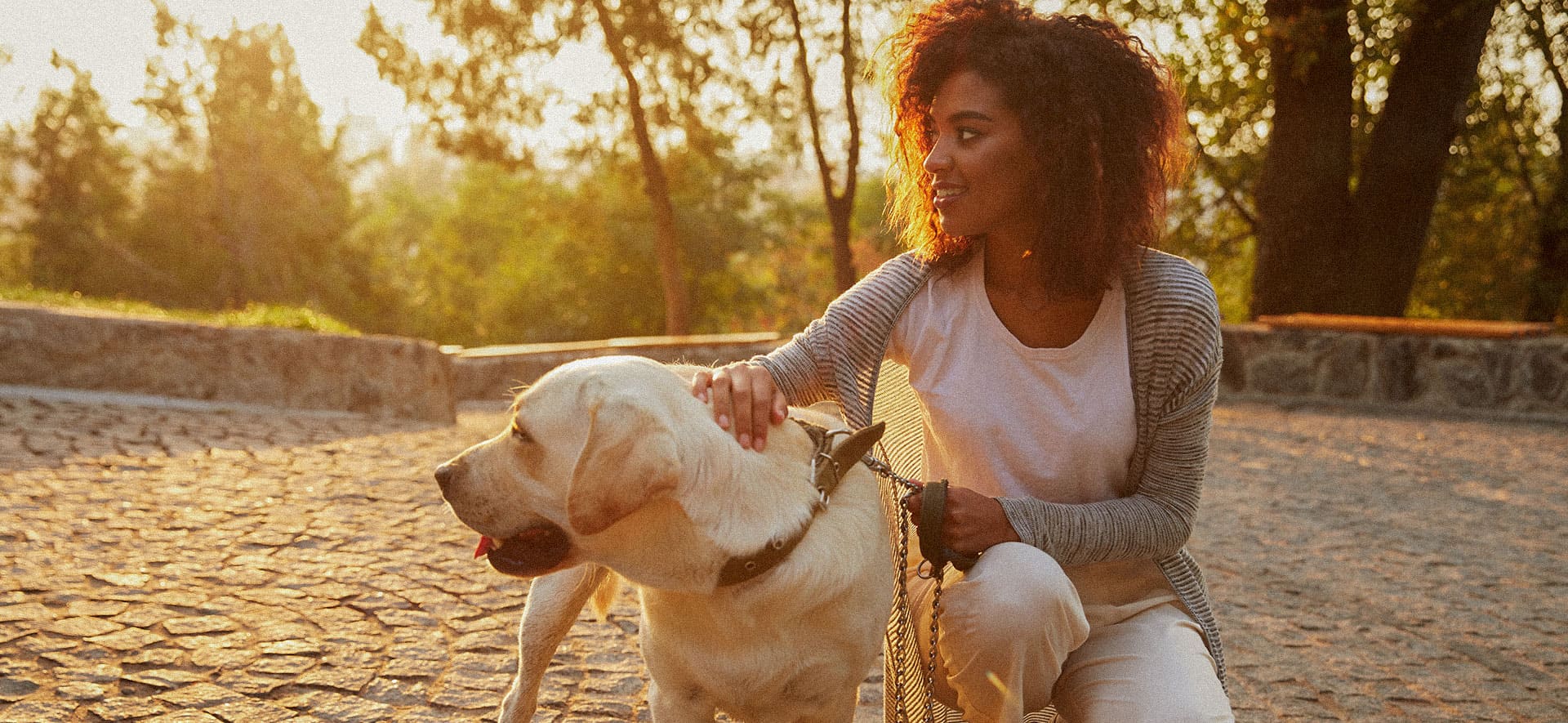 5 lugares pet friendly para pasear con tu perro