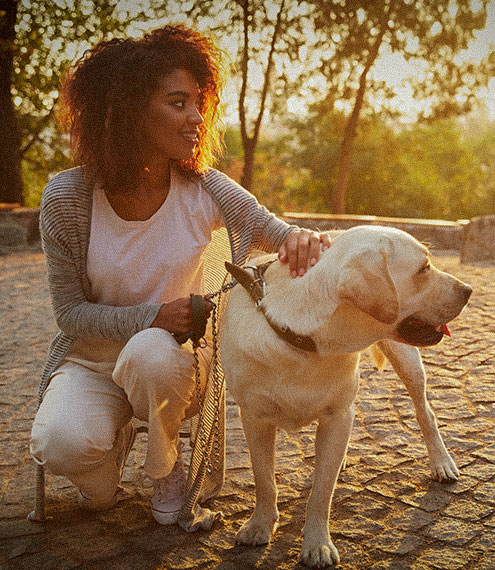 5 lugares pet friendly para pasear con tu perro