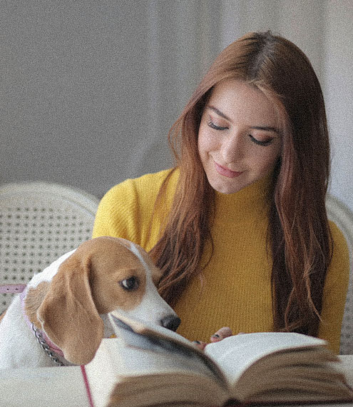 7 señales de una buena salud en tu perro