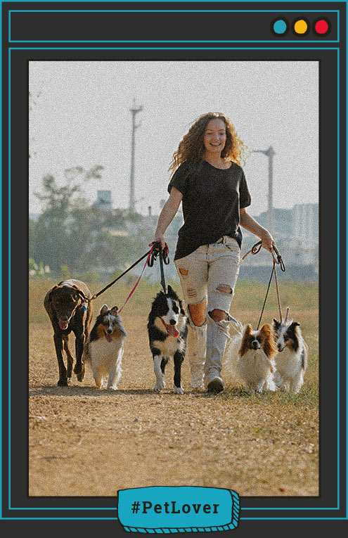 Cuidados de perros en guarderias