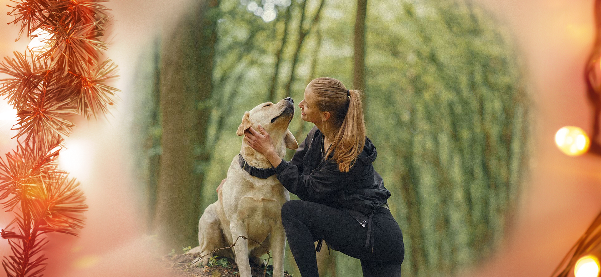 Cierra el año nuevo con el bienestar físico de tu perro