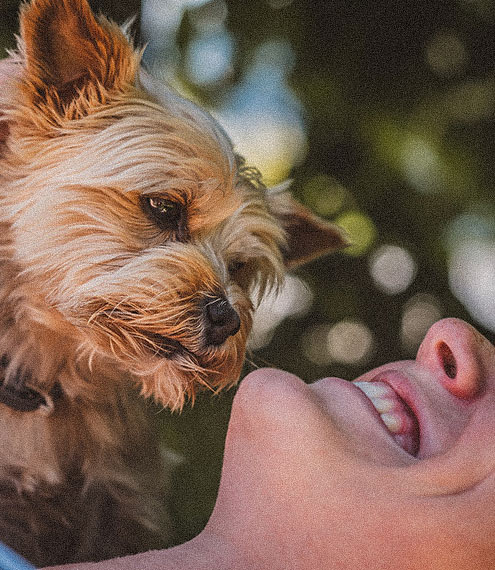 ¿Cómo bañar a tu perro en casa?