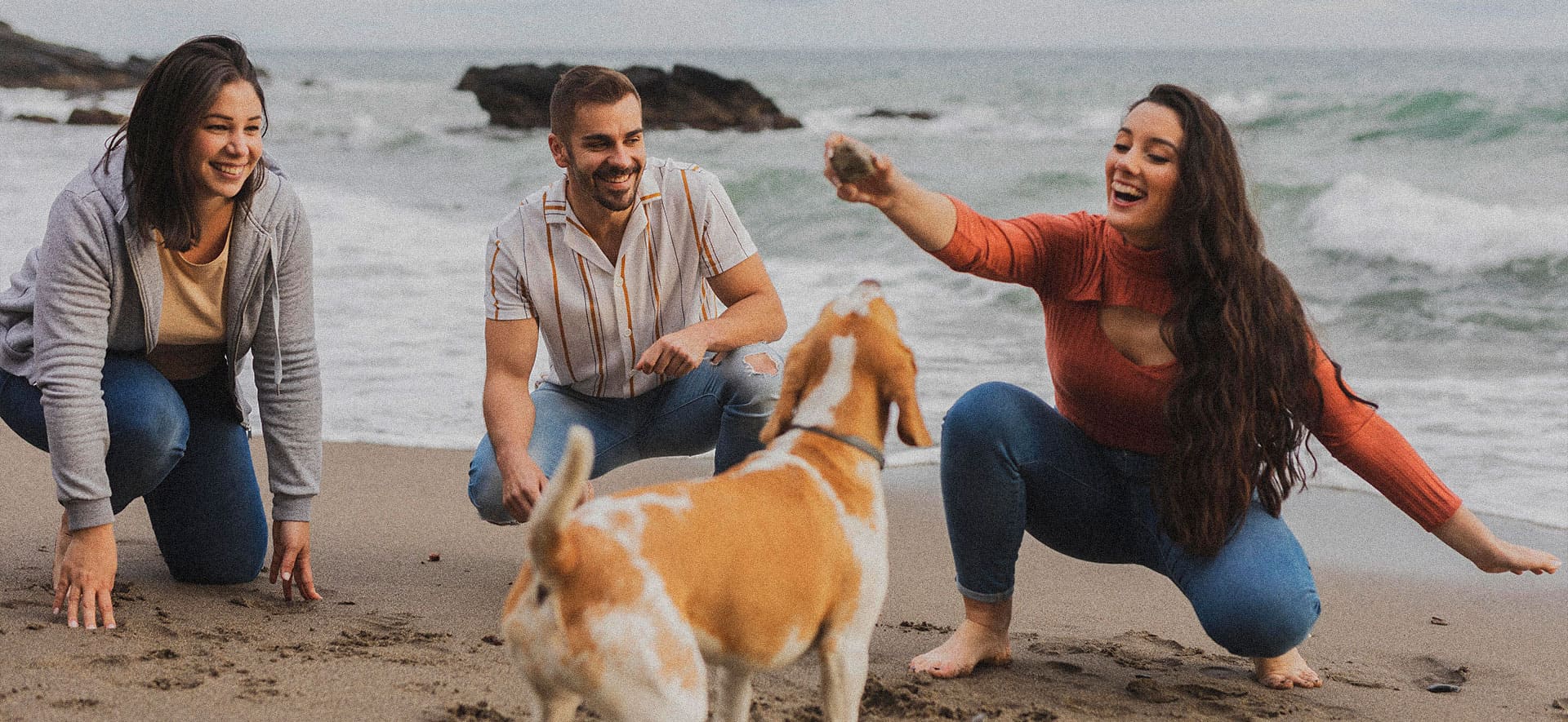 ¿Cómo los perros leen las emociones de los humanos?