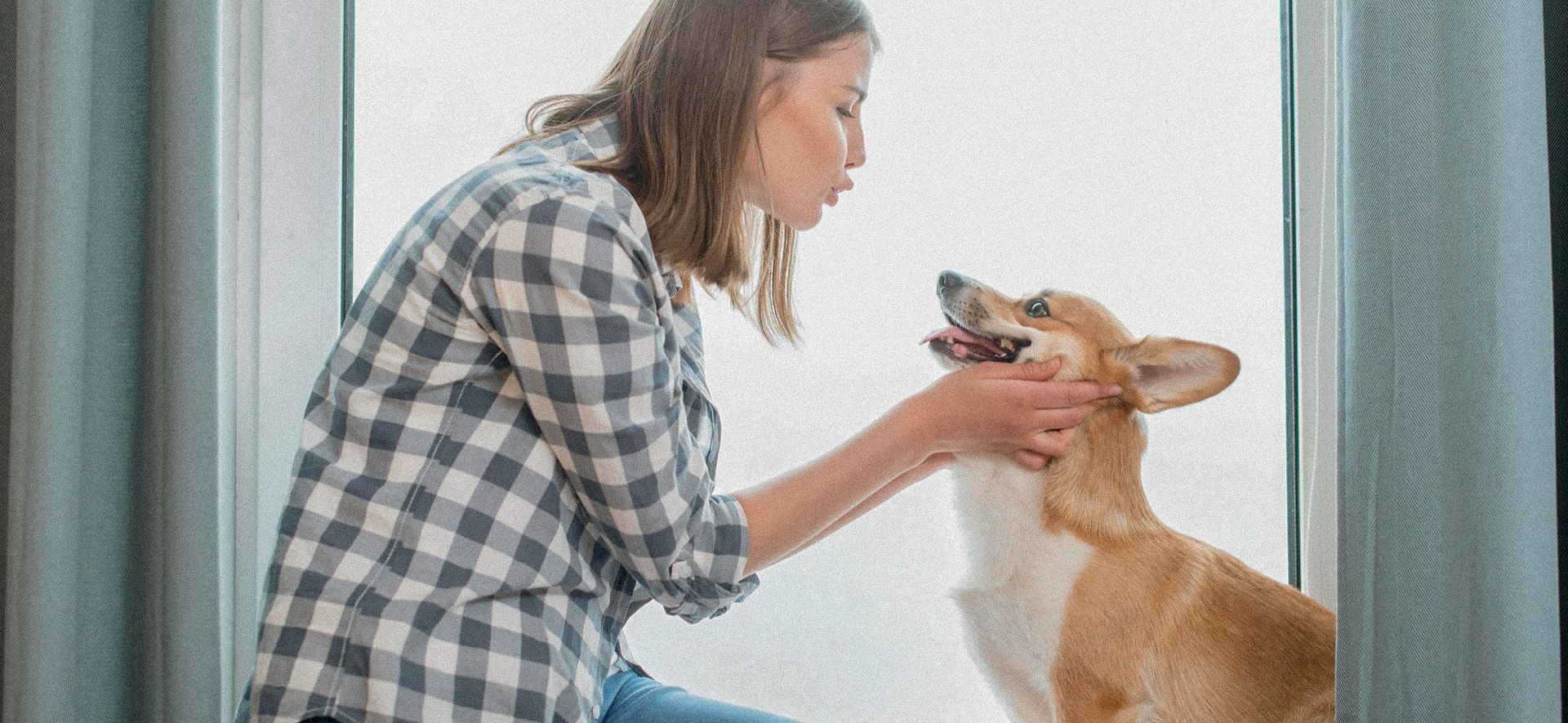 como mejorar la salud intestinal de tu perro