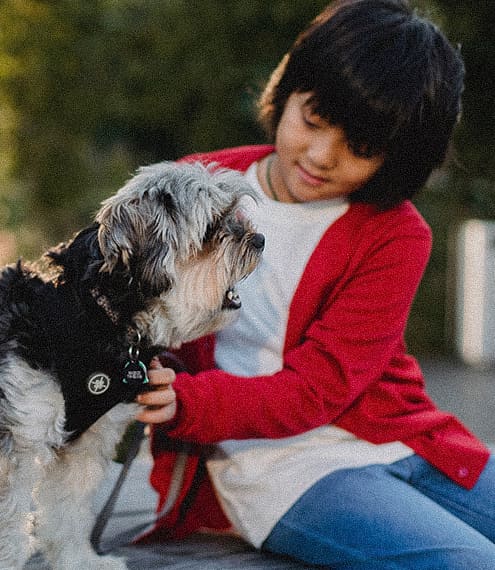 Como saber si tu perro es autista