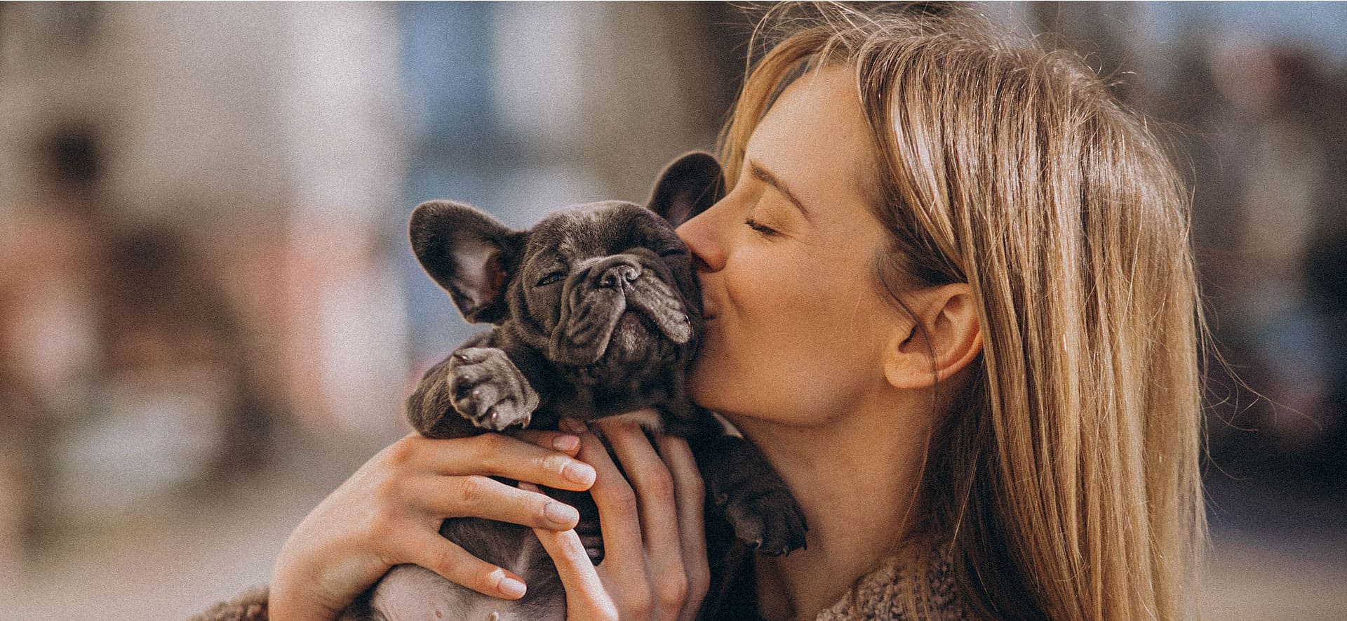 Consejos para que tu cachorro aprenda a ir al baño