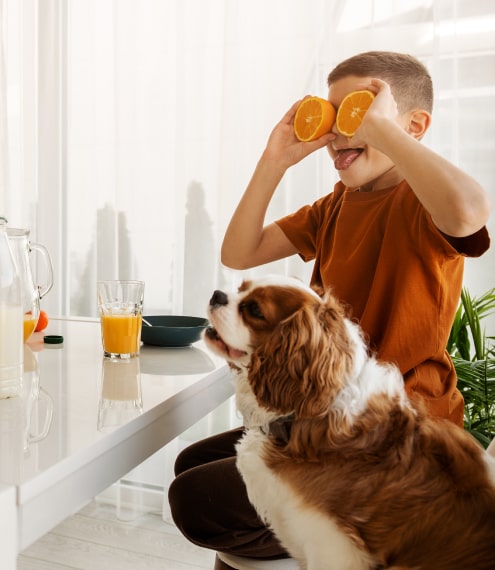 Consejos para que tu perro no pida comida en la mesa