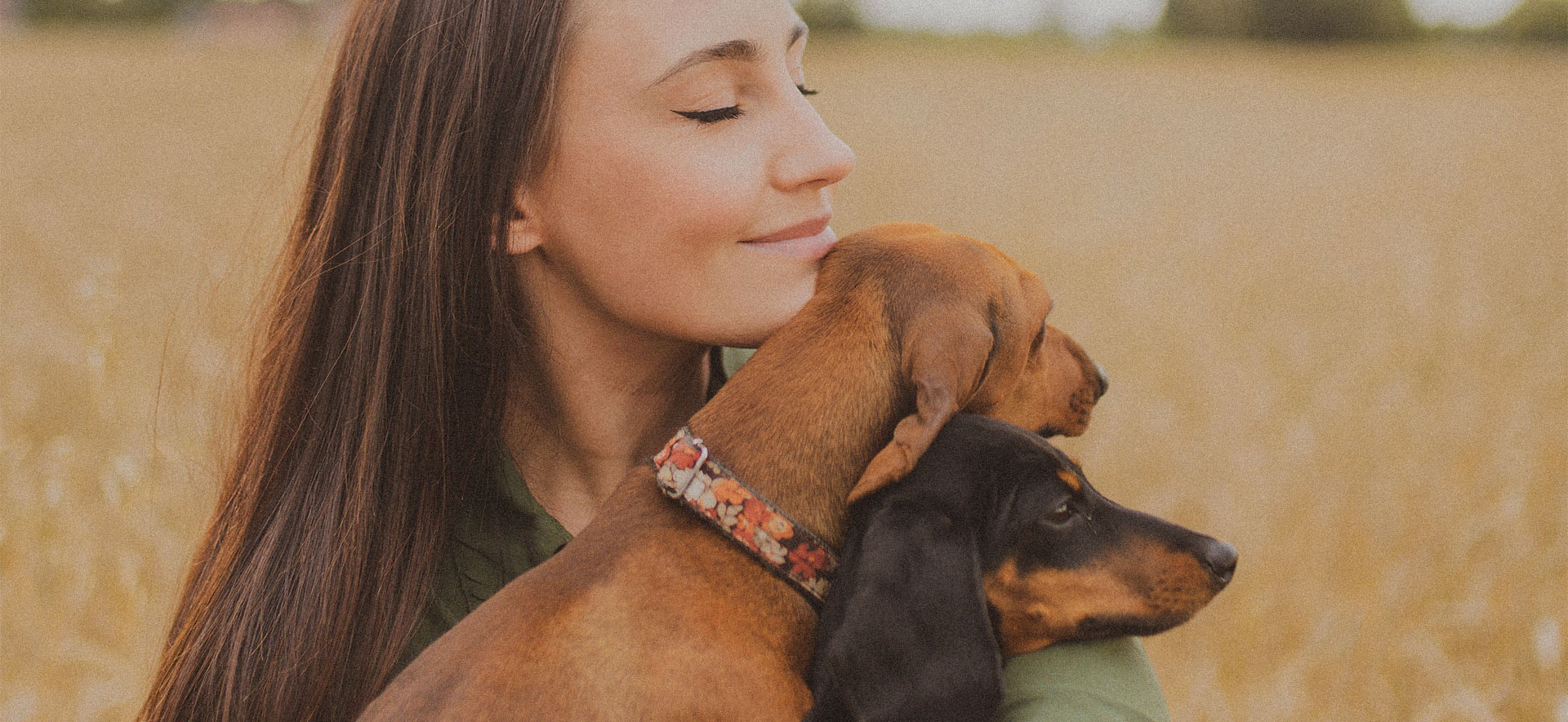 El poder curativo del amor de un perro