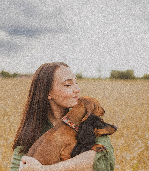 El poder curativo del amor de un perro