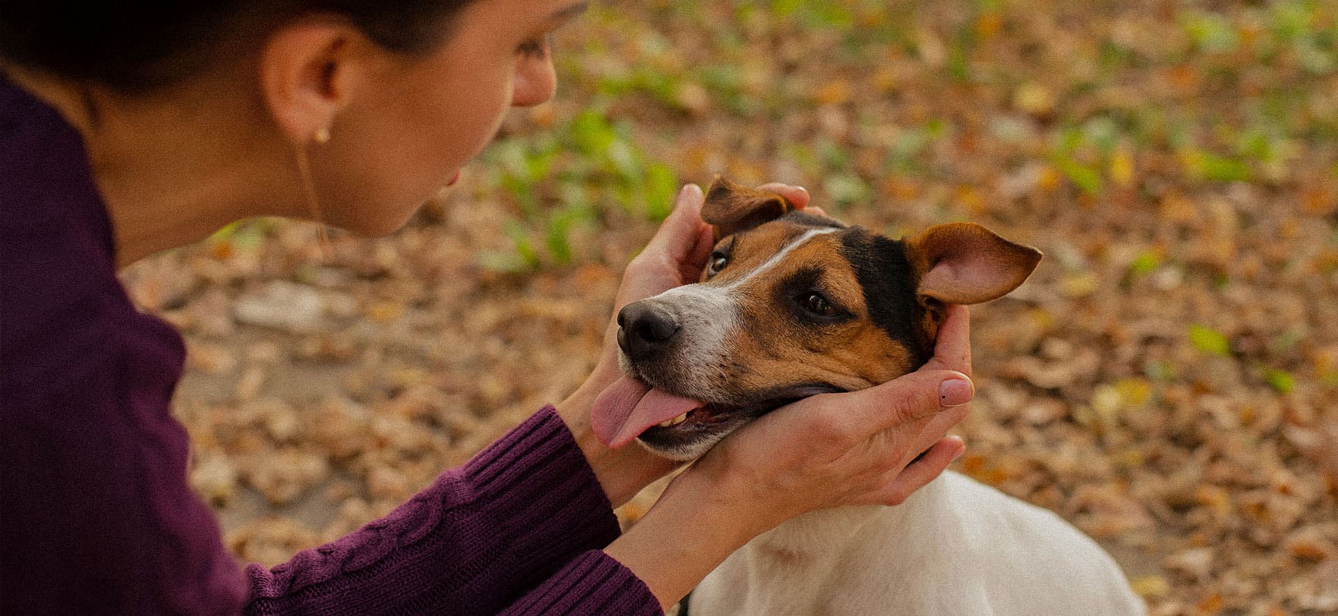 El vínculo especial entre un doglover y su perro