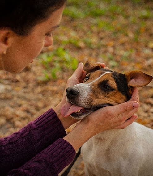 El vínculo especial entre un doglover y su perro