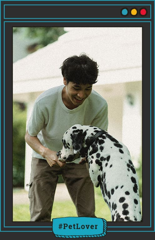 Perros que necesitas entrenamiento avanzado