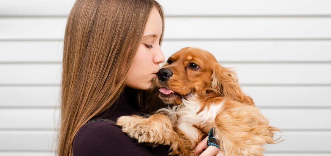 Esto es lo que debes saber del lenguaje de los perros