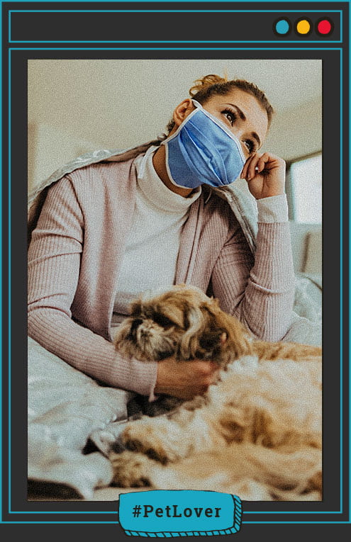 Cómo tomar la fiebre en mi perro