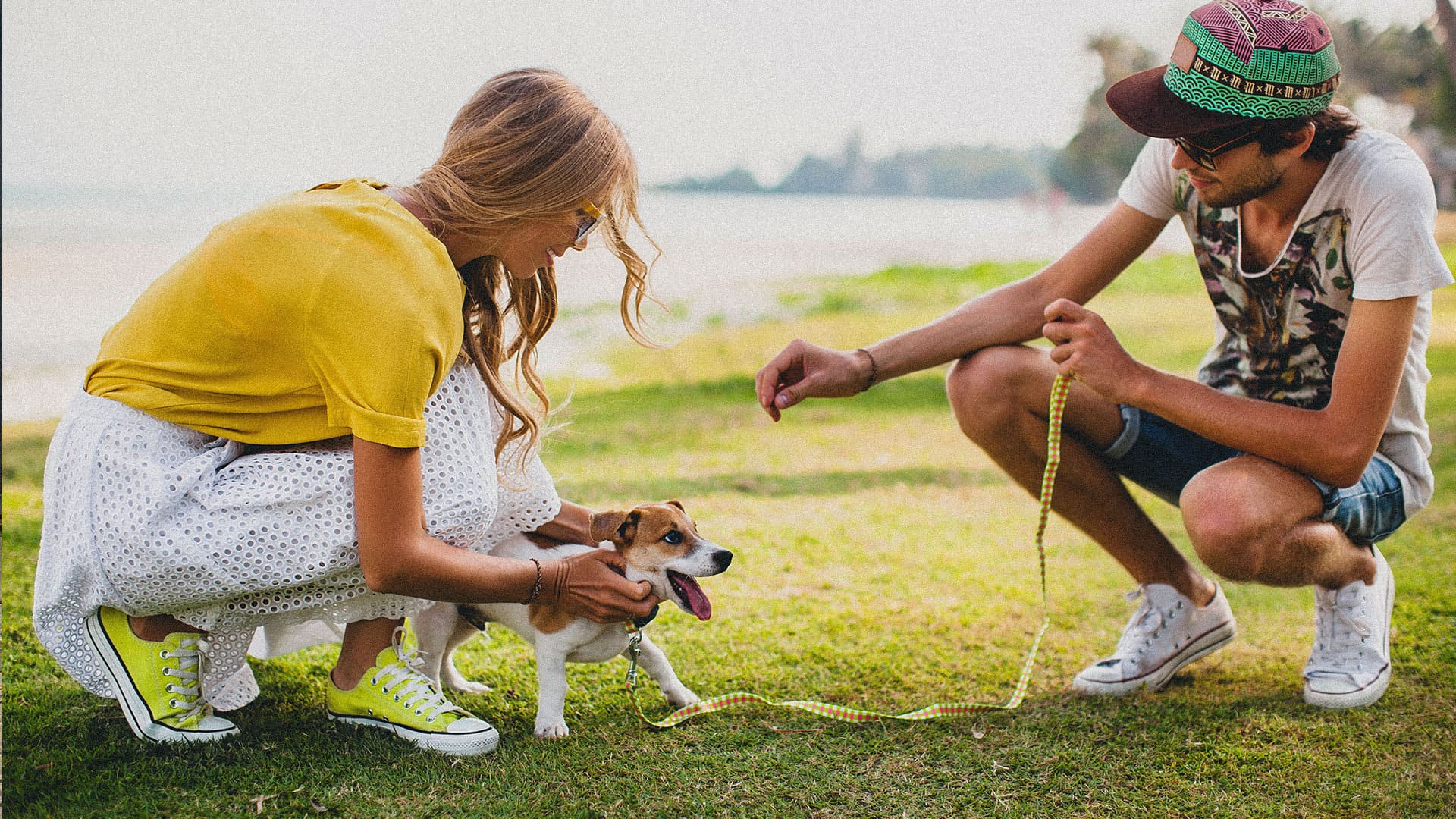 Guía completa para el cuidado y educación de un cachorro