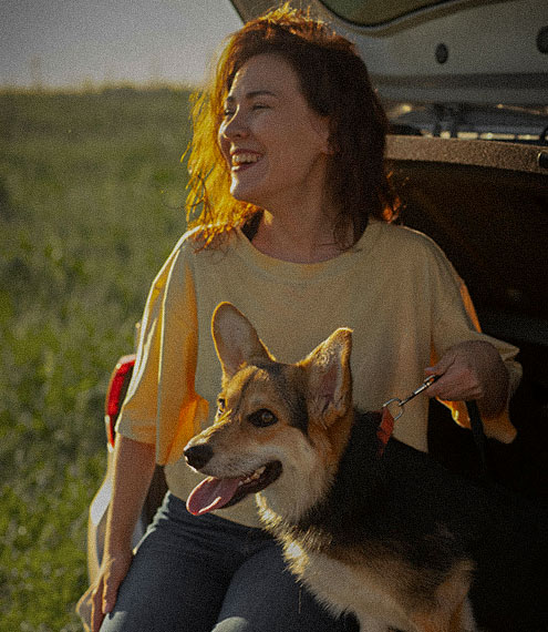 guia para viajar con perros