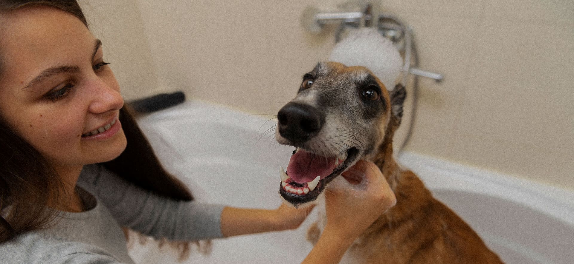 Importancia de la buena higiene con tu perro