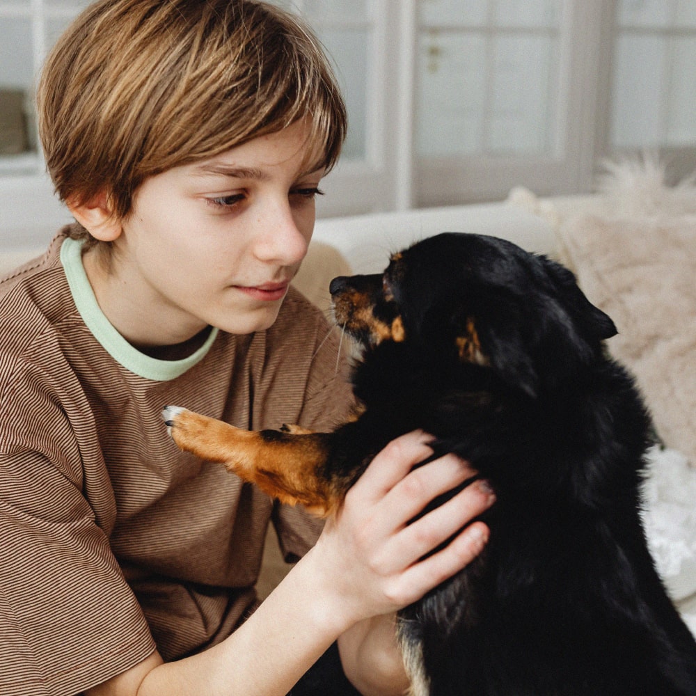 La eutanacia en perros: lo que debes saber