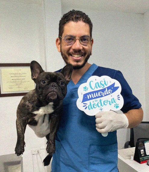 La importancia de la prevención veterinaria