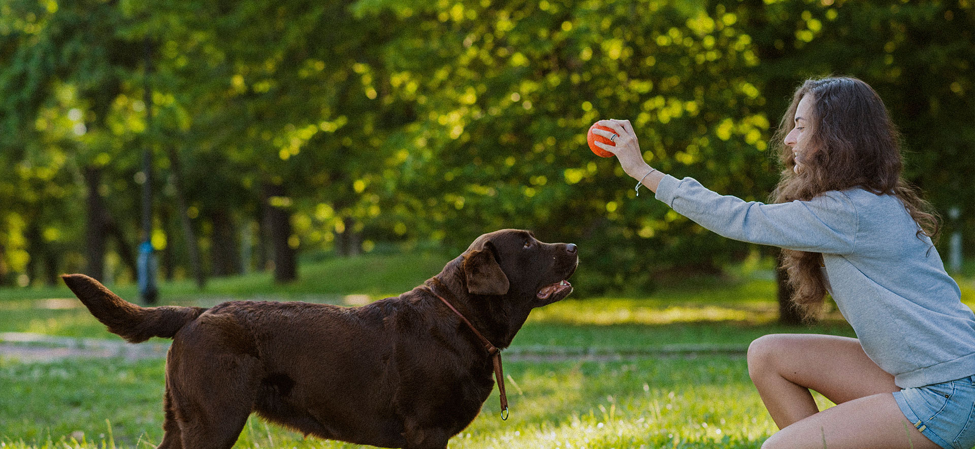 La importancia del juego en el bienestar de tu perro