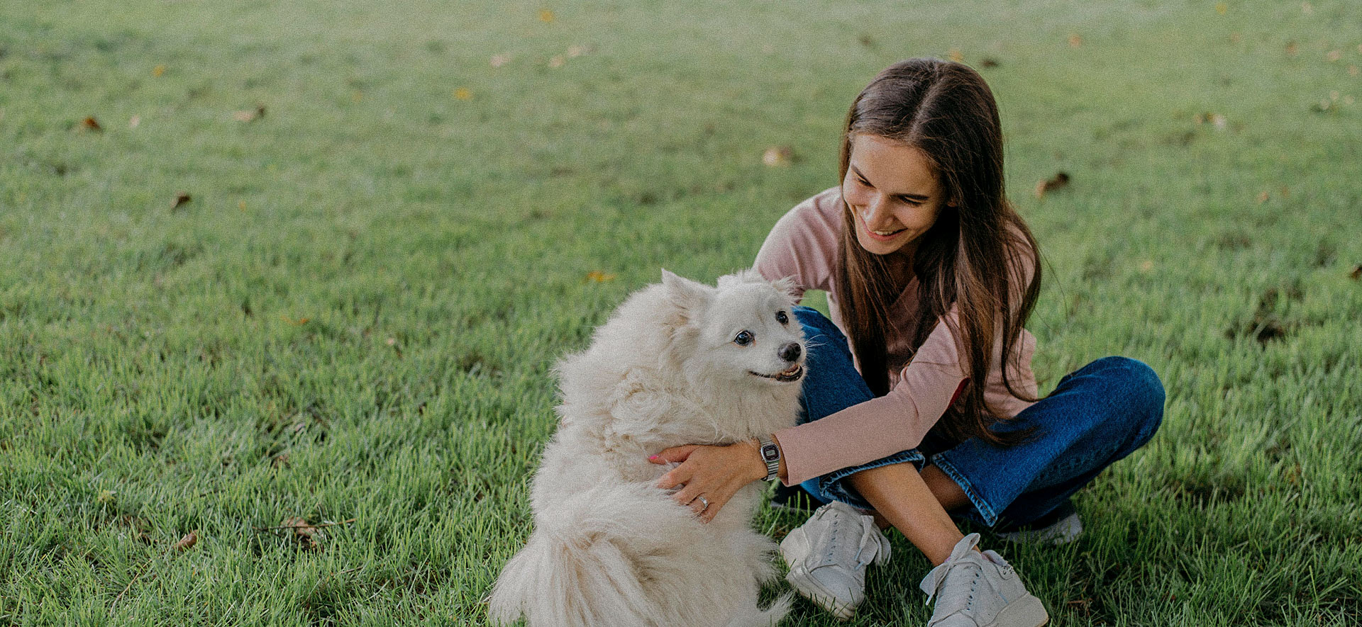 La vida de un perro senior: cómo facilitar su cuidado
