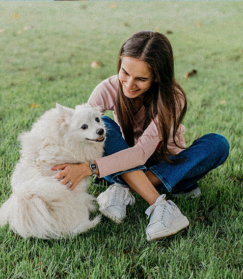 La vida de un perro senior: cómo facilitar su cuidado