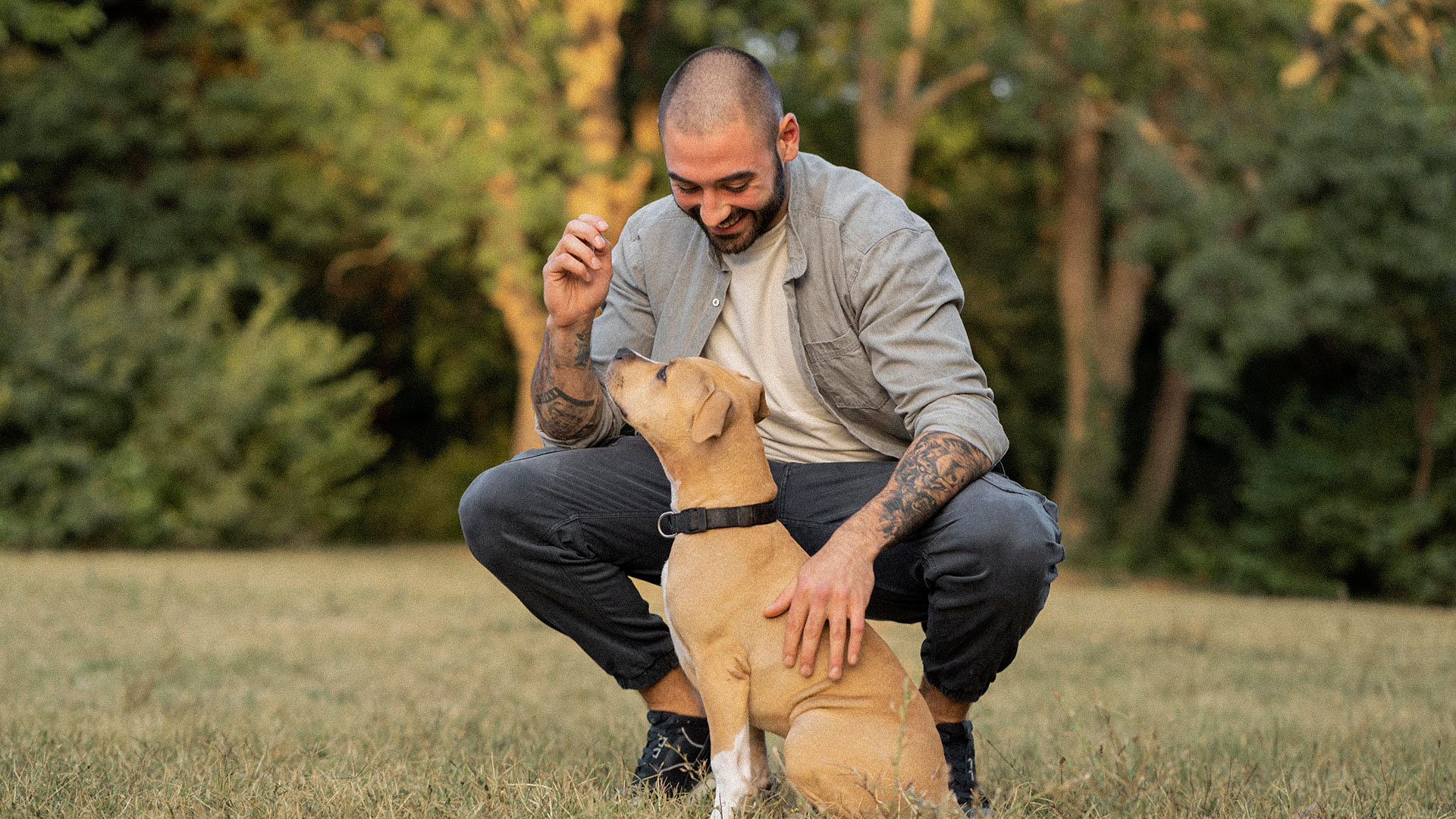 Lo que debe tener un alimento para nutrir a tu perro