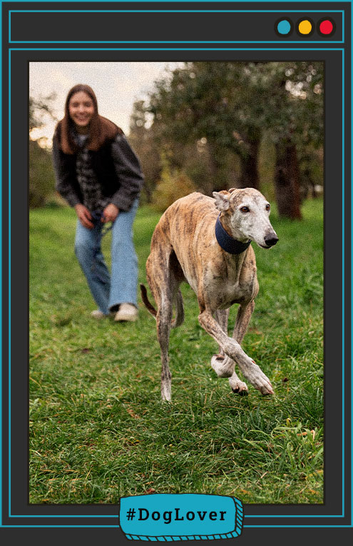 Dia del perro Galgo