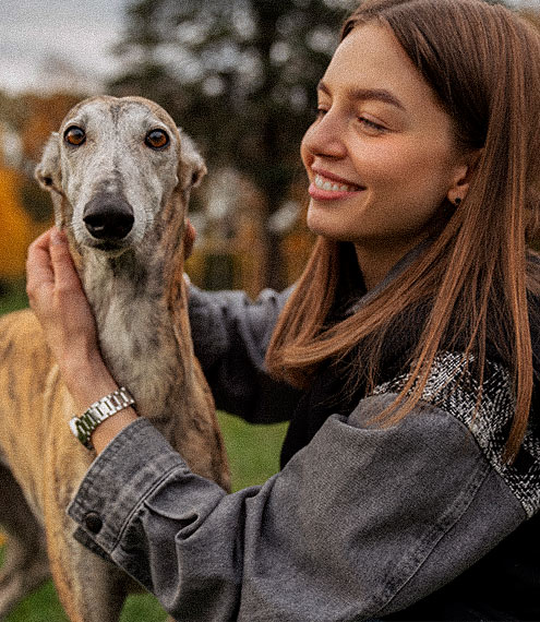 La raza del mes: Galgo