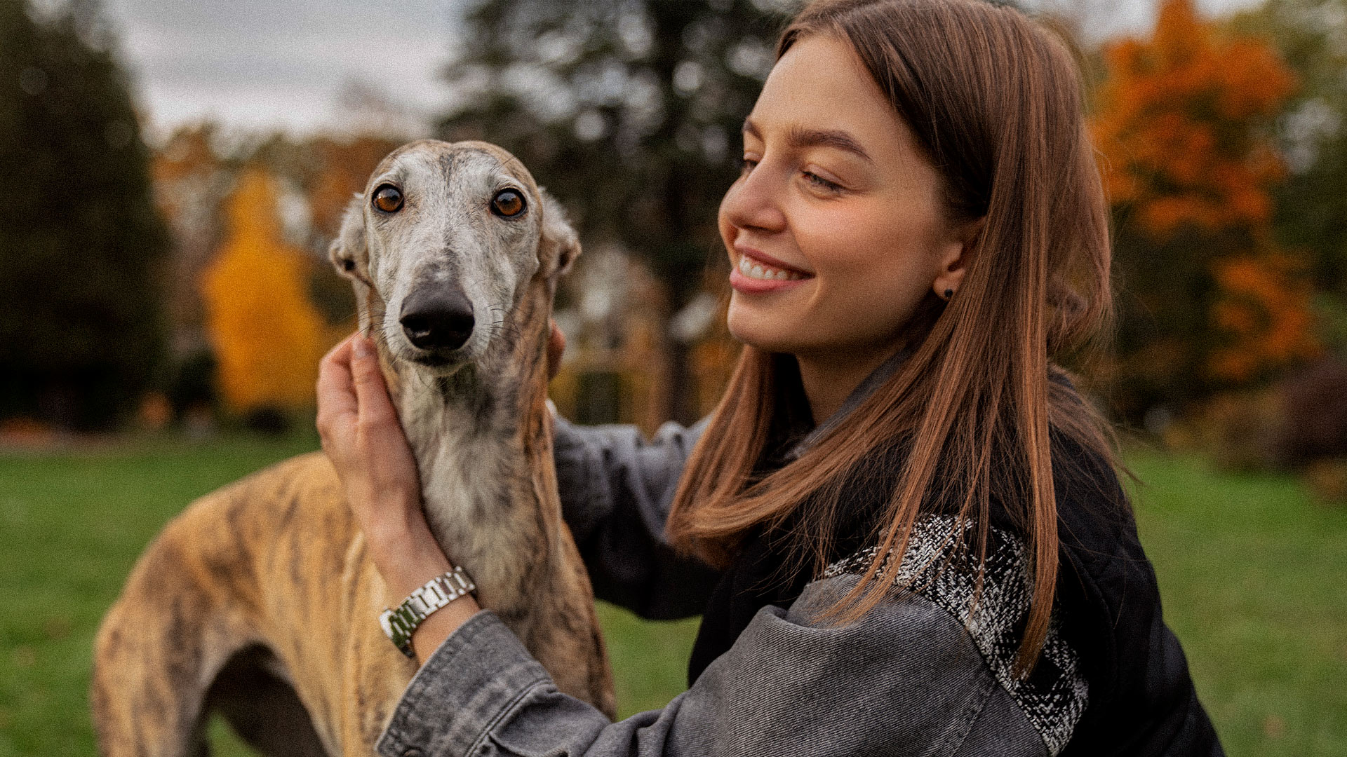 La raza del mes: Galgo