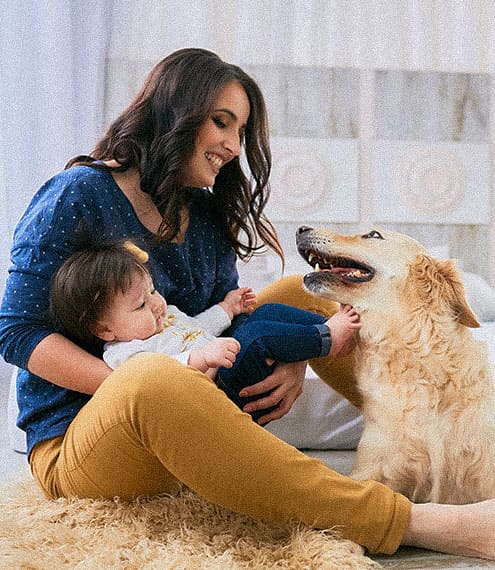 Perros y bebes: cómo hacer una crianza responsable