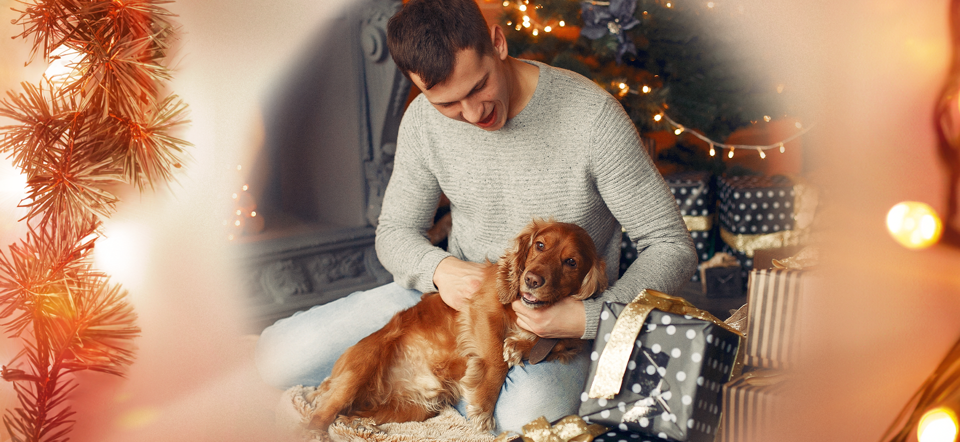 Planea la próxima aventura con tu perro en esta Navidad
