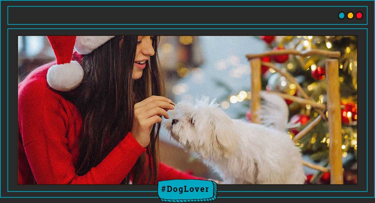 Una navidad Dog Lover