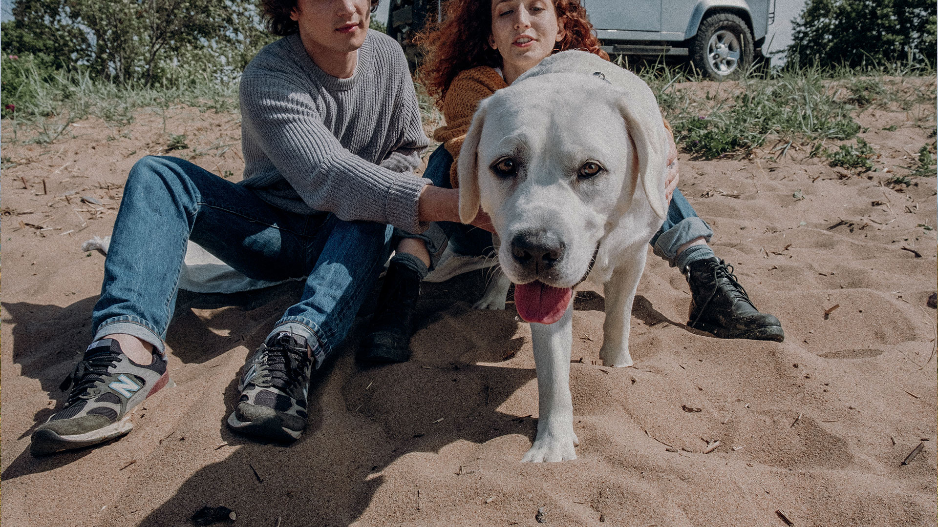 Pros y contras de los zapatos caninos