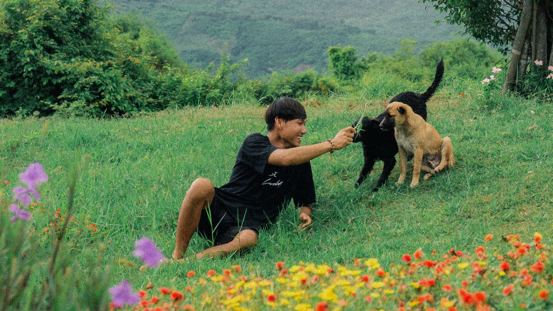 Qué es ser un Doglover