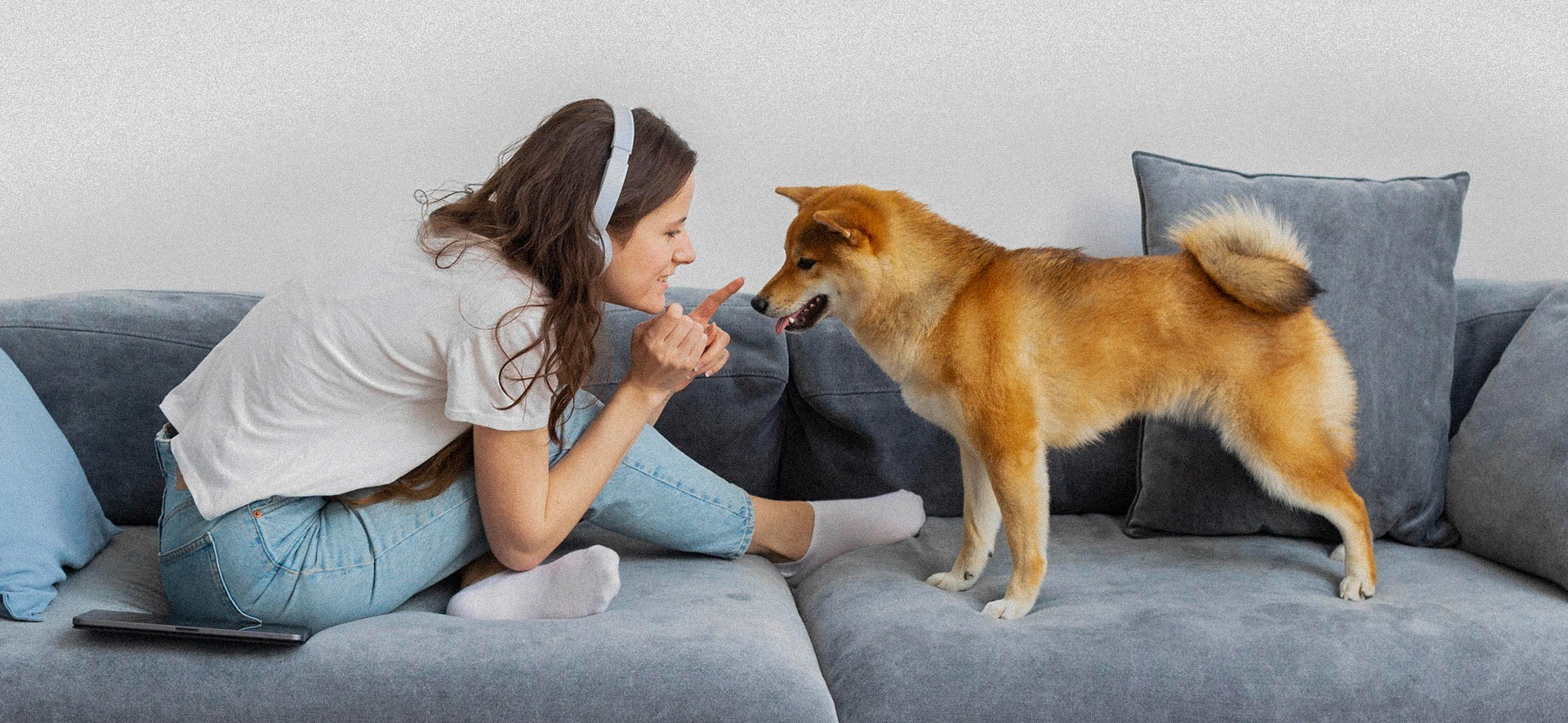 Sonidos tranquilizantes para perros