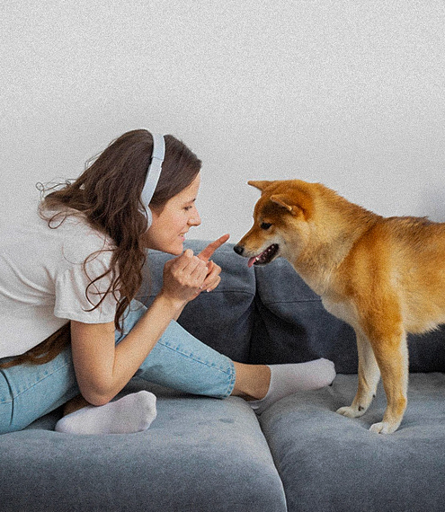 Sonidos tranquilizantes para perros