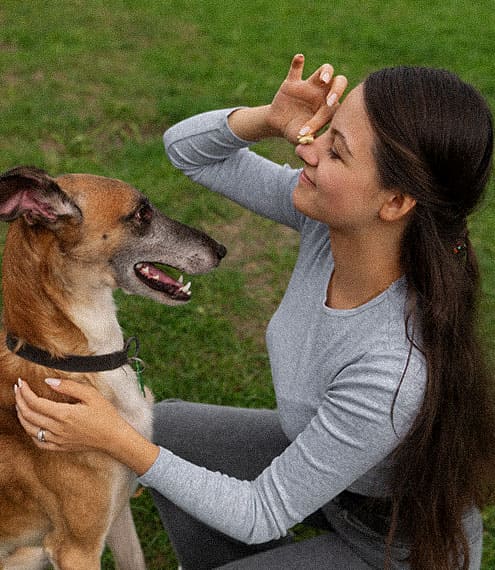 Tipos de parasitos en perros