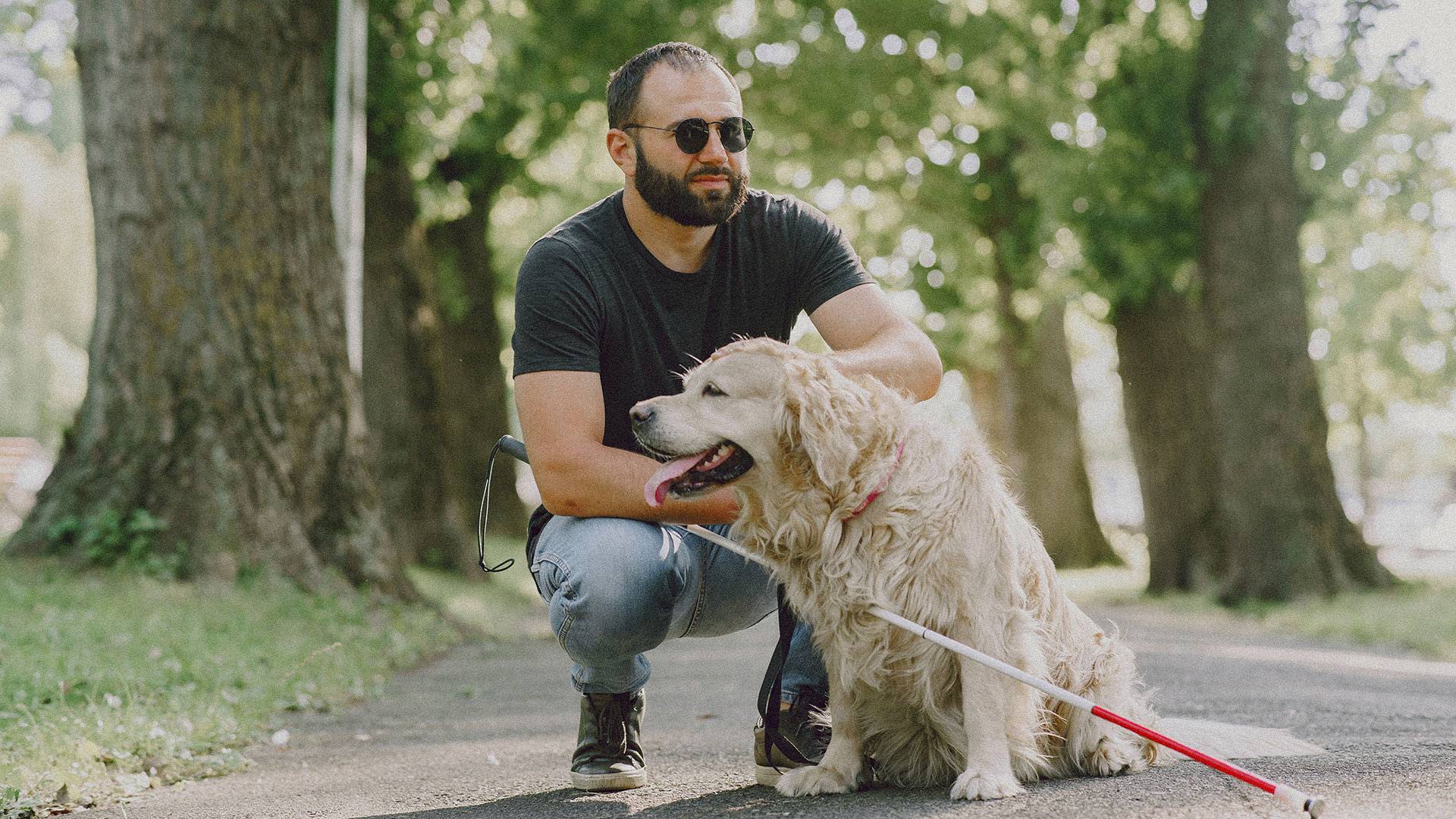 Tipos de perro de asistencia