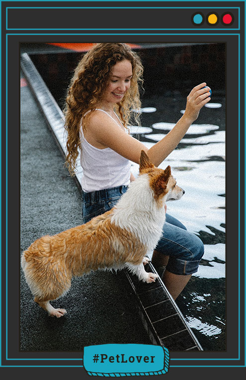 Consejos para llevar al agua a mi perro