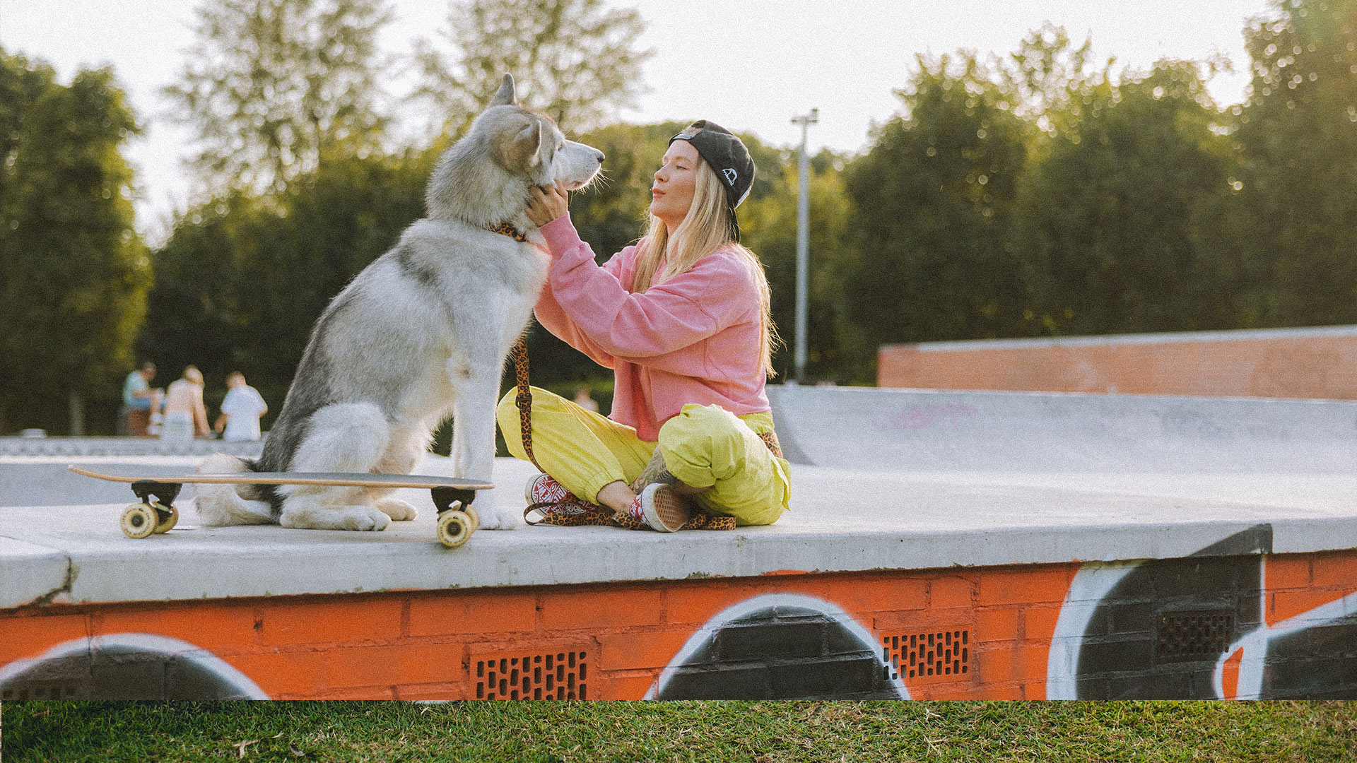 Todo para una emergencia: Guía de primeros auxilios para perros