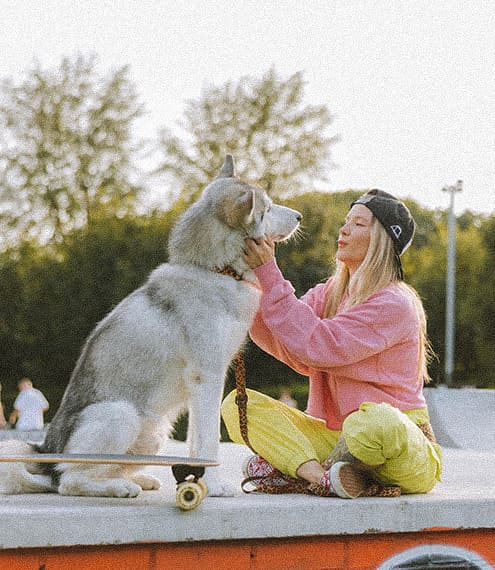 Todo para una emergencia: Guía de primeros auxilios para perros